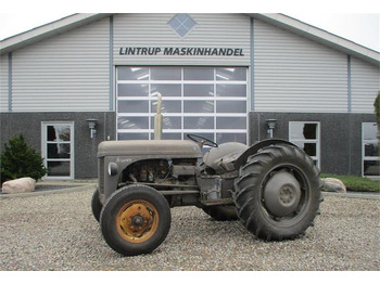 Ferguson 26 Benzin Går godt  - Farm tractor: picture 1