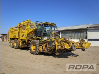 Beet harvester ROPA euro-Tiger V8-3: picture 1