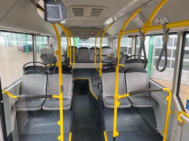 City bus MAN A 21  LIONS CITY  EURO6  KLIMA  2x verfügbar: picture 9
