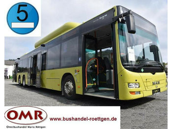 City bus MAN A 26 Lion´s City L / NL 313 CNG: picture 1