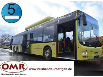City bus MAN A 44 Lion`s City / A 26 / NL 313 CNG: picture 1