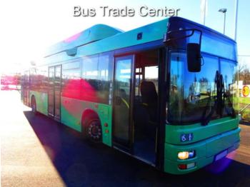 City bus MAN Lions City A21 CNG EEV // 50 PCS: picture 1
