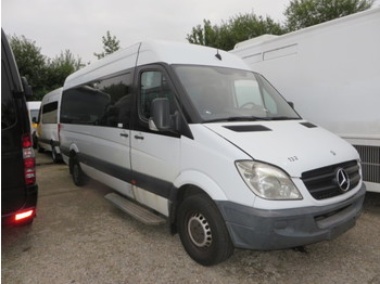 Minibus, People carrier MERCEDES-BENZ 315 CDI: picture 1