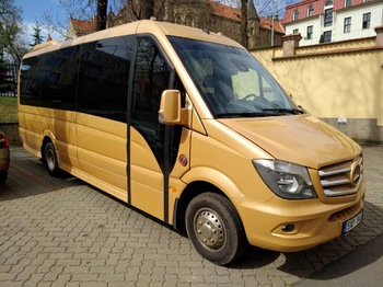 Minibus, Passenger van MERCEDES-BENZ SPRINTER 519CDI: picture 1