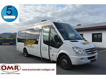 Minibus, People carrier Mercedes-Benz 516 CDI Sprinter / 906 / Crafter / Klima: picture 1