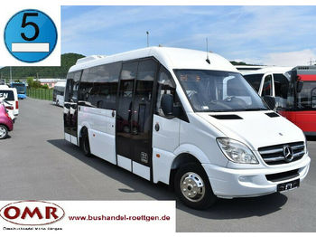 Minibus, People carrier Mercedes-Benz 516 CDI Sprinter/komplett saniert/Crafter: picture 1