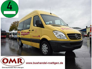 Minibus, People carrier Mercedes-Benz 906 AC 30 Sprinter: picture 1