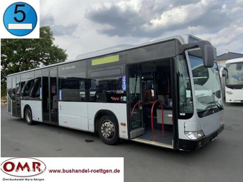 Mercedes Citaro O 530 - Suburban bus: picture 1