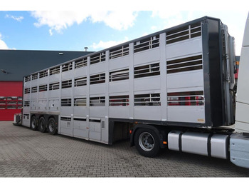 Livestock semi-trailer