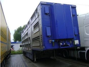 PEZZAIOLI SBA 31
 - Closed box semi-trailer