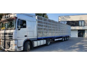 Livestock semi-trailer KRONE SD: picture 1