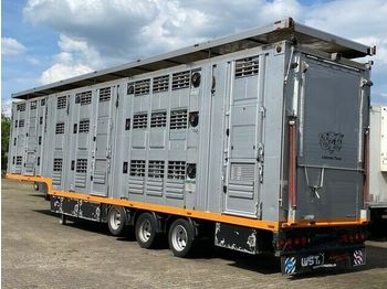 Livestock semi-trailer Menke 3 Stock  Lift Typ2 Lüfter  Tränk Großvieh: picture 1