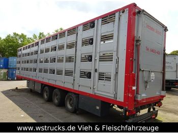Livestock semi-trailer Menke 4 Stock   Lüfter  Tränk: picture 1