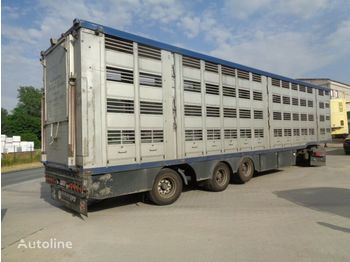 Livestock semi-trailer Menke-Janzen Élőállat szállító félpótkocsi: picture 1