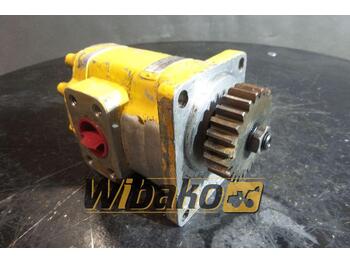 Hydraulic pump