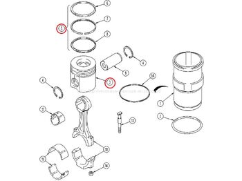 Piston/ Ring/ Bushing CUMMINS