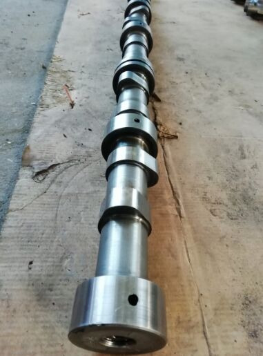 Camshaft for Truck DAF XF 95, CF85   DAF XF 95 CF85 truck: picture 2