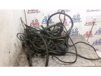 Cables/ Wire harness LANDINI