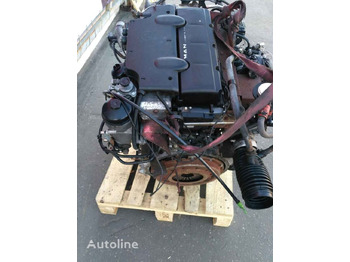 MAN D0834 LFL50-55 E4   MAN TGL - Engine for Truck: picture 2