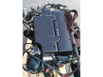 MAN D0834 LFL50-55 E4   MAN TGL - Engine for Truck: picture 1