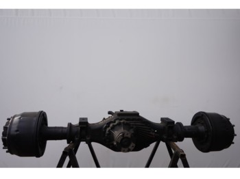 Rear axle MAN HP-1342-E05 29/17X4.00