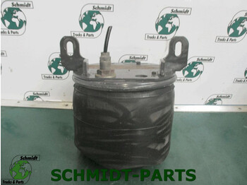 Air suspension for Truck Renault 7421978484 Luchtbalg: picture 1