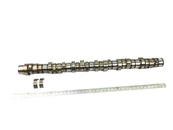 Camshaft Renault Magnum Dxi (2005-2013): picture 1