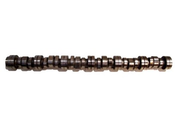 Camshaft for Truck SCANIA RIVER BEAM ROLLER EURO 5: picture 1