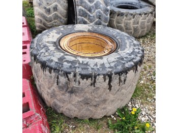 Wheels and tires for Articulated dump truck Volvo A30 D - 750/65R25: picture 1