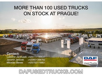 Tractor unit DAF XF: picture 1