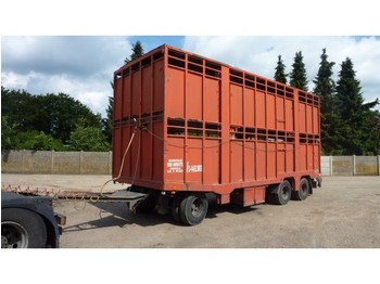  Gheysen en Verpoort 3-asser voor 2 lagen rundere - Closed box trailer