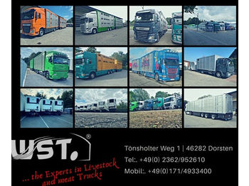 Cab chassis truck DAF CF 430 "Neu" SC Fahrgestell