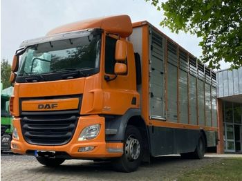 Livestock truck DAF CF 400 Menke Einstock: picture 1