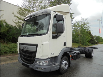 New Cab chassis truck DAF LF 210 EURO 6: picture 1