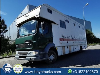 Livestock truck DAF LF 55.220 horse transport,low: picture 1