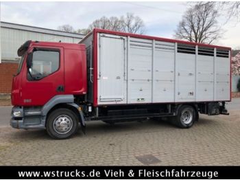 Livestock truck DAF LF 55 Einstock Köpf: picture 1