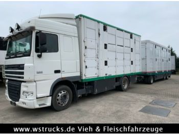 Livestock truck DAF XF 105/410 SC Menke 3 Stock Vollalu Komplett: picture 1