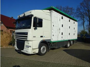 Livestock truck DAF XF 105/460 SSC Menke 3 Stock Hubdach: picture 1