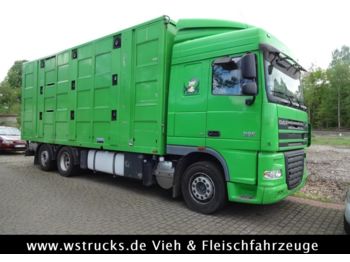 Livestock truck DAF XF 105/460 SSC Menke 3 Stock Vollalu: picture 1