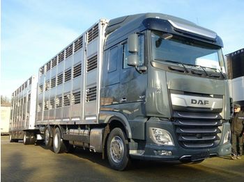 Livestock truck DAF XF 480 "Neu" SC mit Menke 3 Stock: picture 1