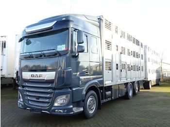 Livestock truck DAF XF 480 "Neu" SC mit Menke 3 Stock: picture 1