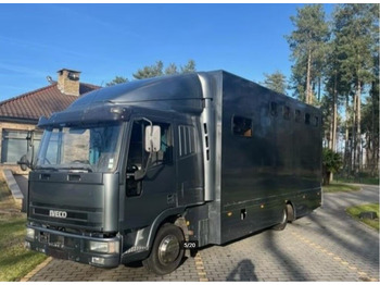 Horse truck IVECO