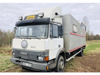 Livestock truck Iveco 145-17: picture 1