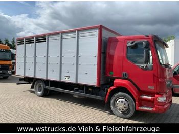 Livestock truck DAF LF 55 Einstock Köpf