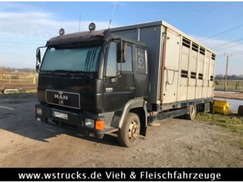 Livestock truck MAN 8.224 mit Enstock Alu