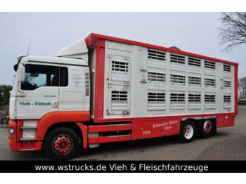 Livestock truck MAN TGA 26.350 Finkl Aufbau