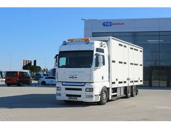 Livestock truck MAN TGA 26.540 6X2-2 LL RETARDER, FOR ANIMALS