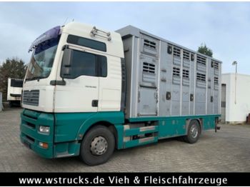 Livestock truck MAN TGA 18.480 XL mit Finkl 3 Stock: picture 1