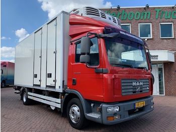 Refrigerated truck MAN TGL 12.210 KUHLKOFFER THERMOKING MULTI TEMP HOLLAND TRUCK: picture 1