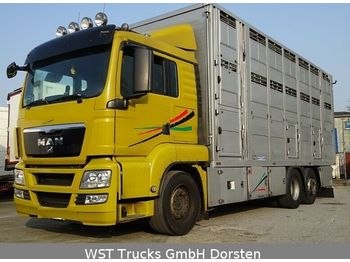 Livestock truck MAN TGX 26.440 LX Menke 3 Stock: picture 1